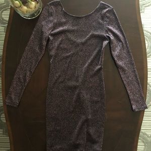 Glittery Curve Hugging Dress